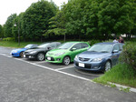 P1010545a.jpg
