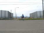 P1010753a.jpg