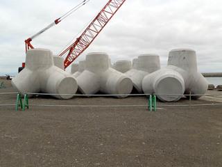 P5150066a.jpg
