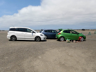 P5150071a.jpg