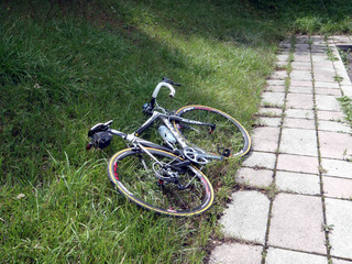 P8210004a.jpg